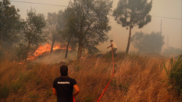 Gestão e prevenção de incêndios vai ter 6 milhões de euros de apoios