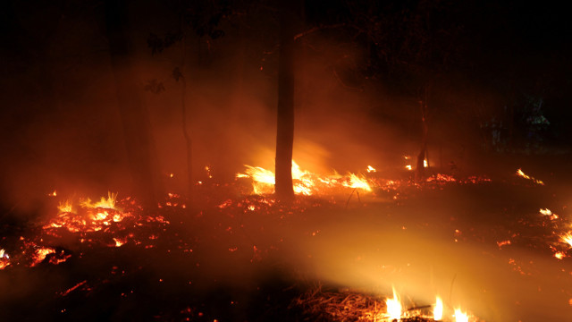 Incêndio em Ponte da Barca. Freguesia de Ermida é preocupação principal