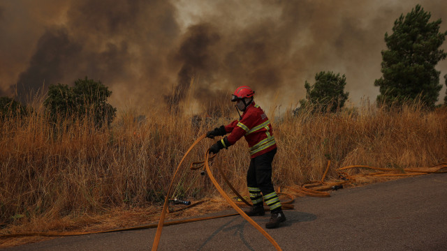 15-year-old caught setting fire in a forest area of Ermesinde