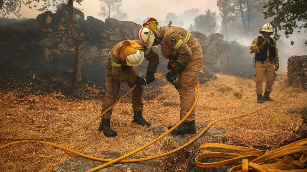 59 occurrences until 5:00 PM, 7 concerning situations, says Civil Protection