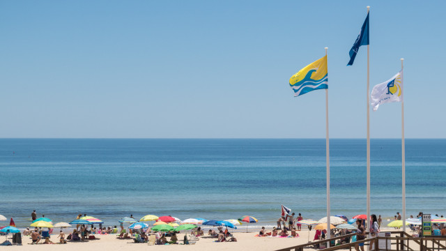 9-year-old child pulled unconscious from the water at Altura beach