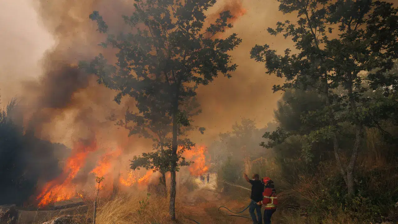 A quarter of the fires investigated this year originated from arson.