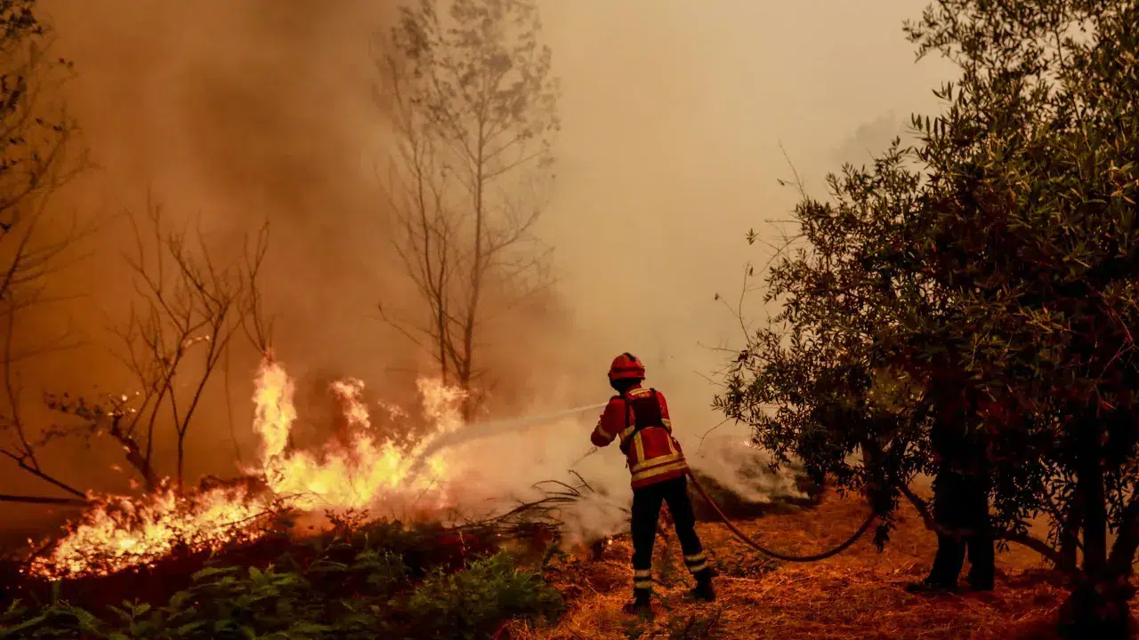 Almost 2,800 operatives were fighting the five largest fires at 4:30 AM.