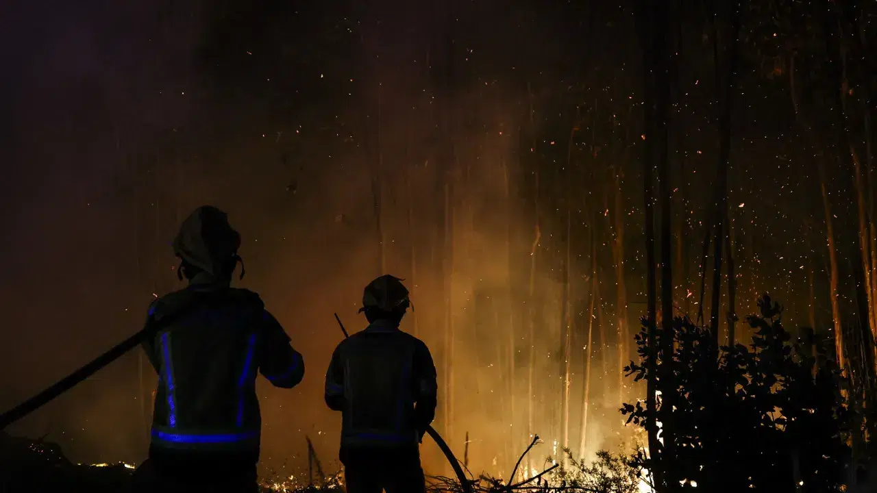 Almost 60,000 hectares burned this year (and 15,000 since Sunday)