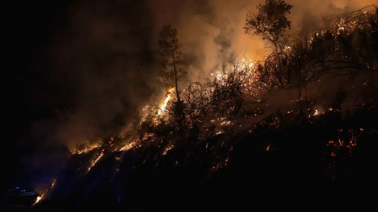 Almost two thousand personnel mobilized for the four largest fires