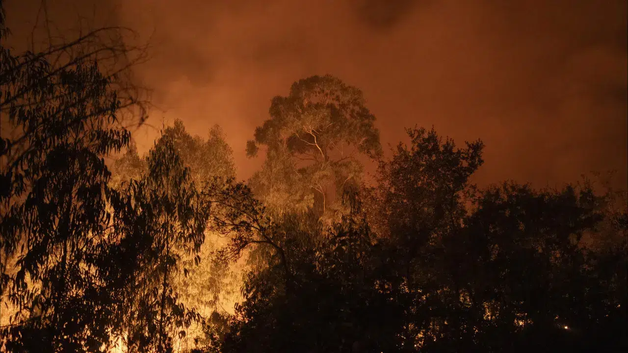 AMP's plan aims for 80% fewer ignitions on high-risk days.