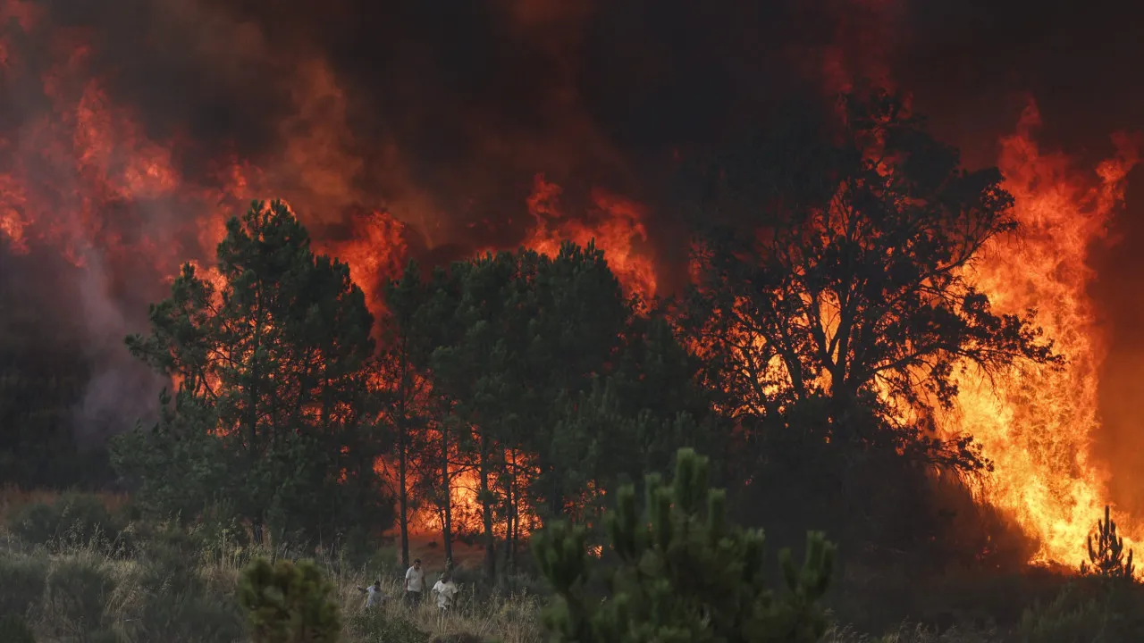 An active front in Guarda is also on alert with fire coming from Sabugal.
