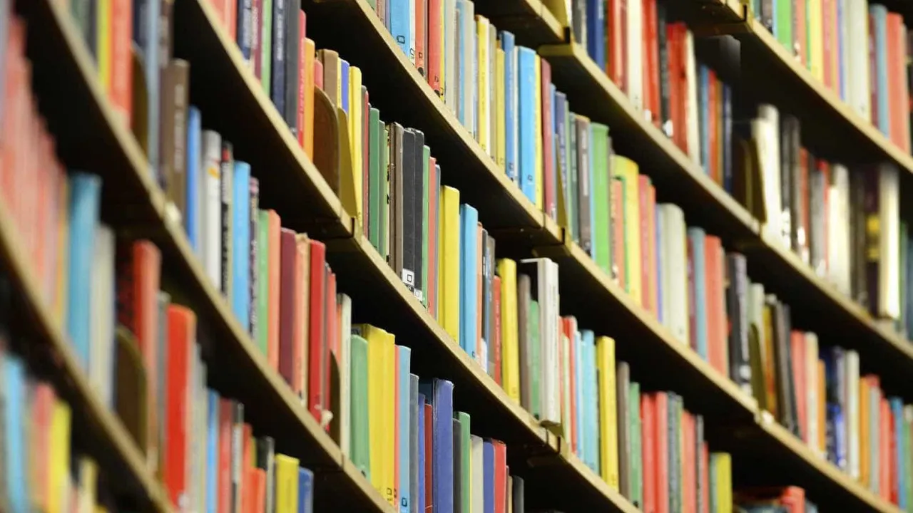 Ana Baliza and Mariana Veloso win the 2025 Book Design Award