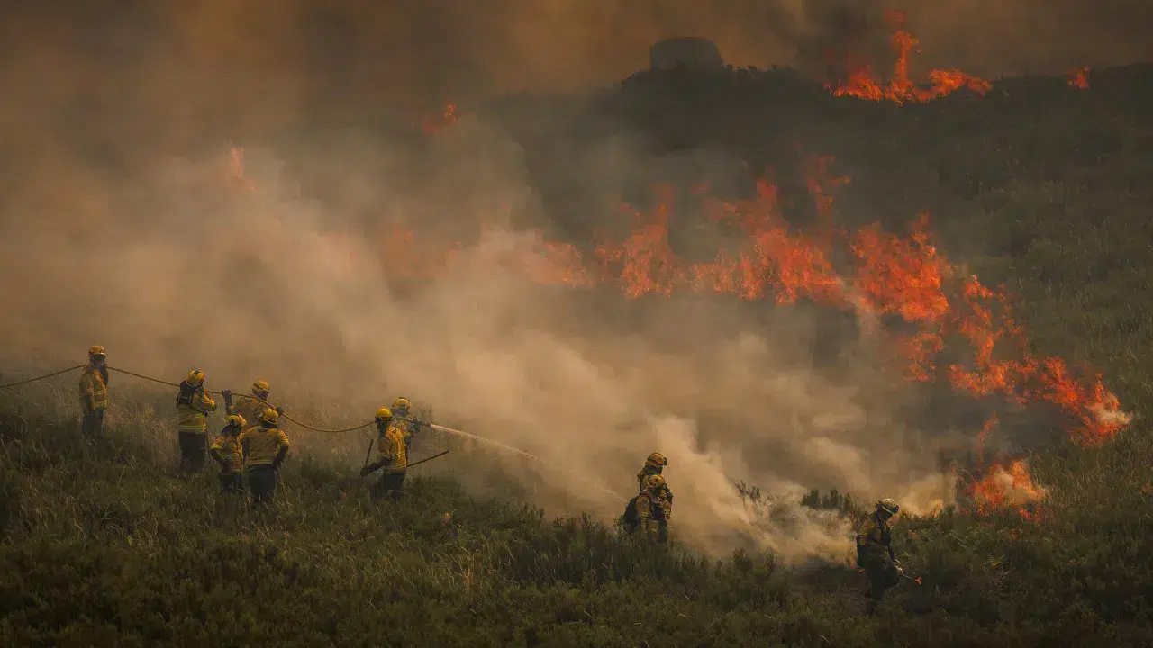 Approximately 80% of the fire burning in the Alvão mountains has been brought under control.