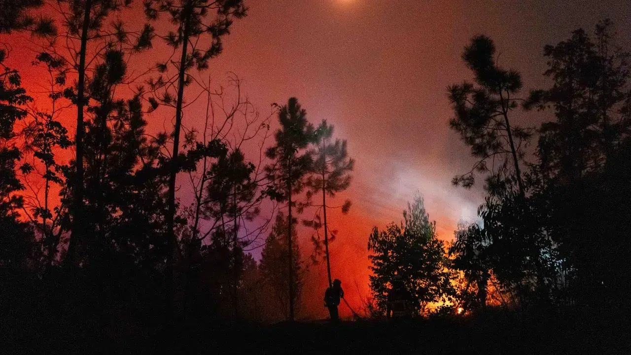 Arganil fire re-enters Pampilhosa da Serra near Casal Novo