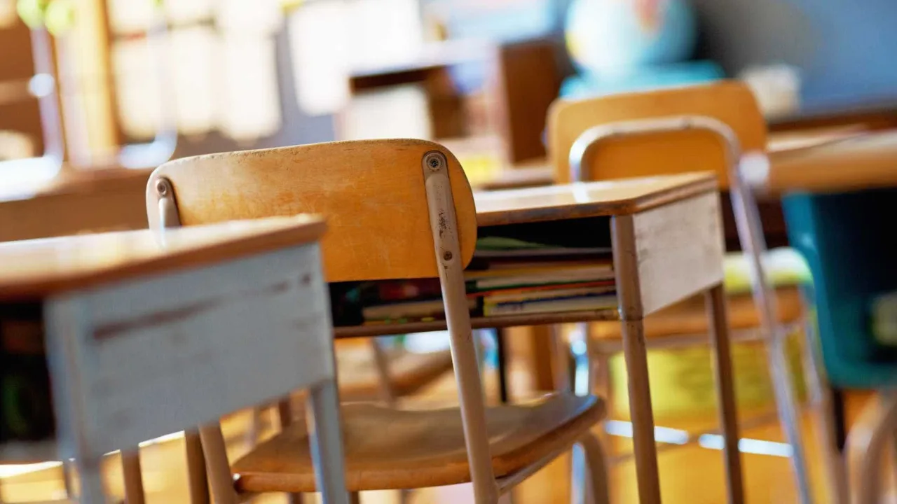 Around 19 thousand teachers placed in schools in the next school year