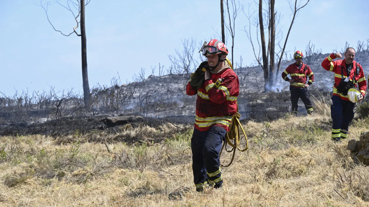 Around 8,000 hectares burned in Trancoso since Saturday