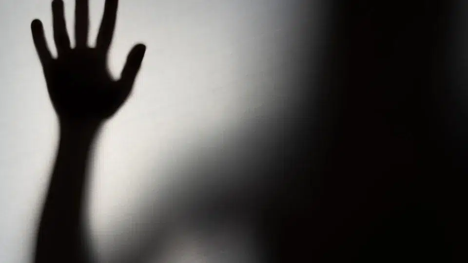 Arrested in Oeiras for crimes against family members (including minor children)
