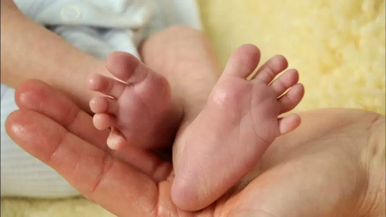 Baby born at supermarket entrance in Sertã. Mother and child are well.