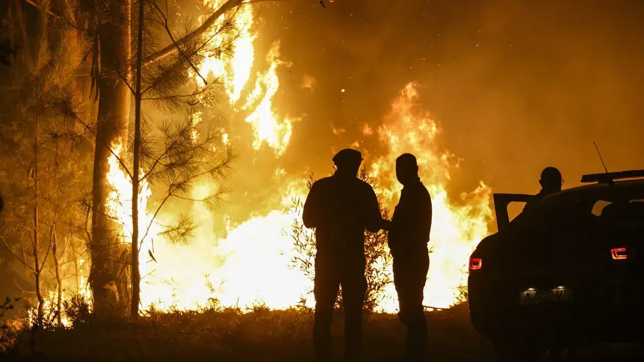 Baldios account for significant losses in the Vila Cova fire.