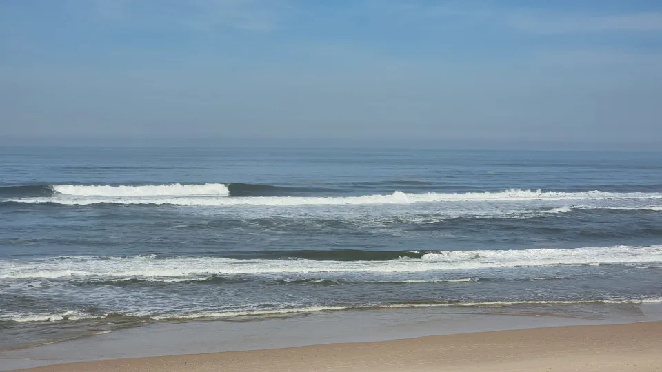 Ban on bathing lifted at Vieira Beach in Marinha Grande