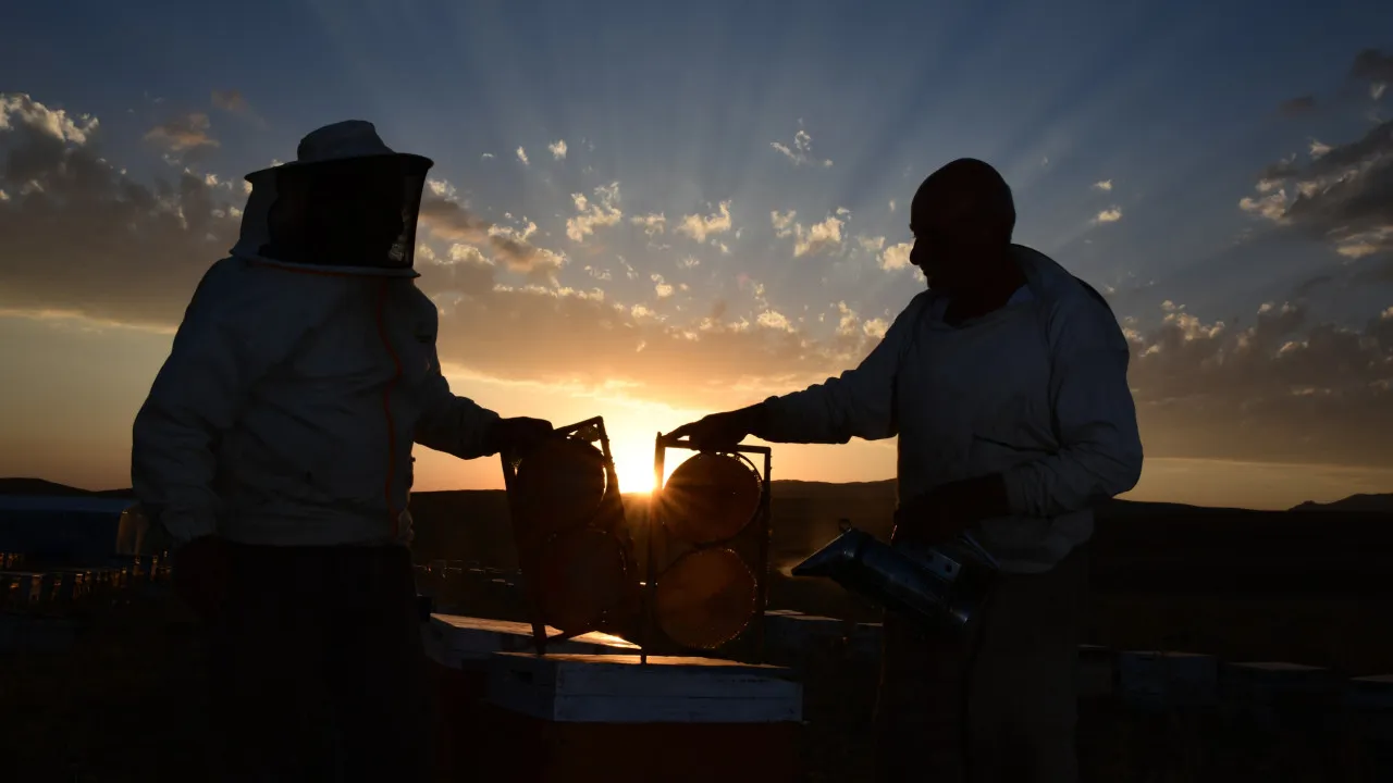 Beekeepers from Arouca complain about the lack of support from the firefighters.