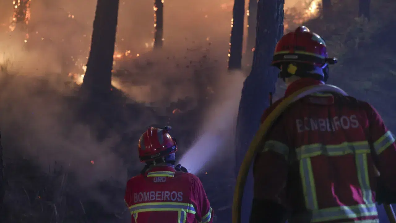 Burned area in Chaves may exceed 3,000 hectares