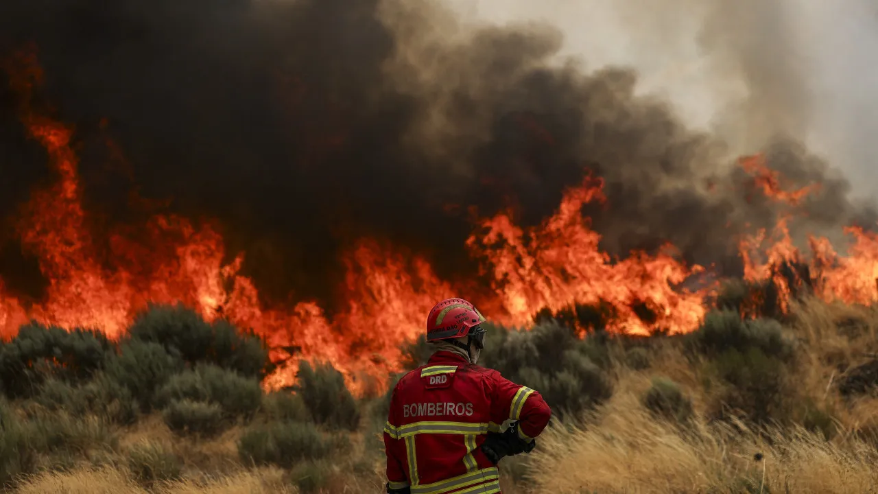 Burnt area in Chaves is already around 5,000 hectares