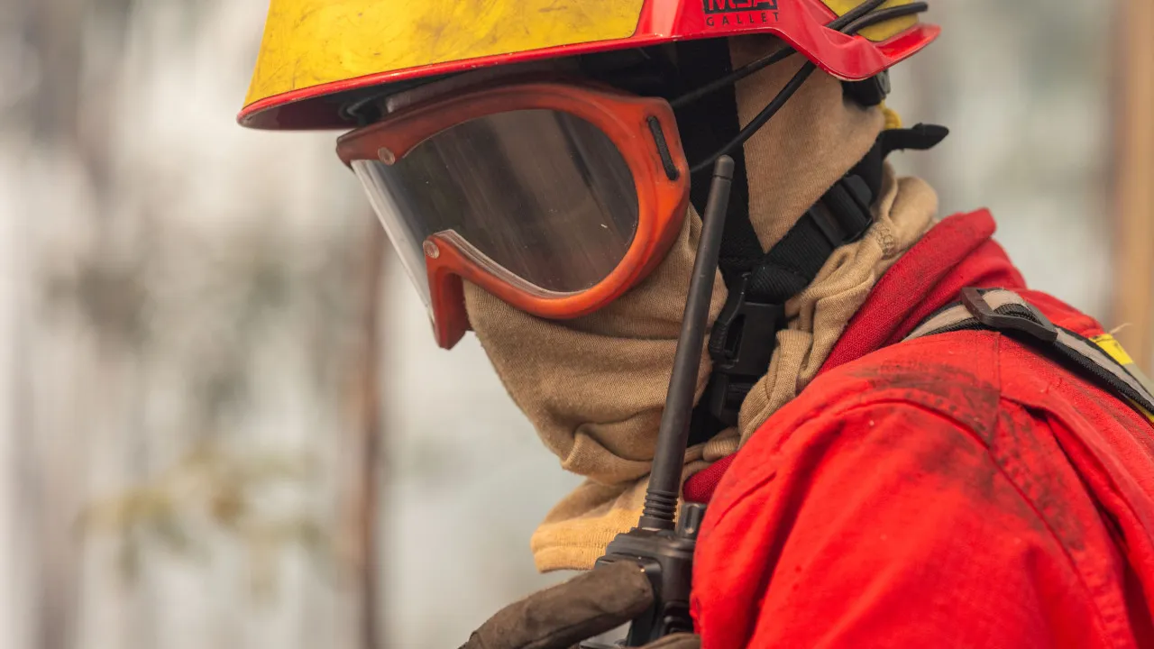 "Burnt bush". Fire in Vila Verde in resolution.