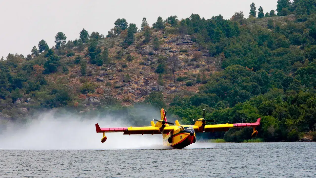 Canadair involved in action in the Sabugal fires (threatening villages)