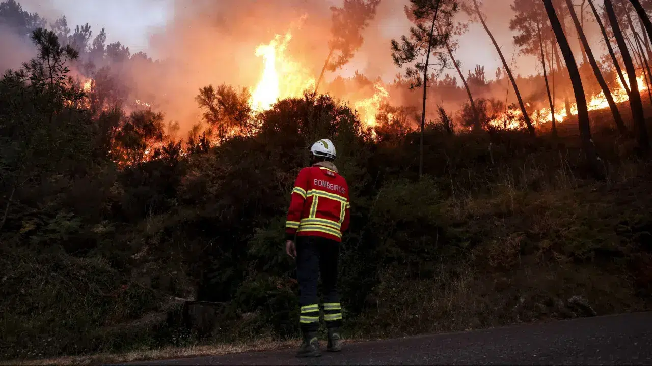 Castro Daire with two active fronts and burning intensely