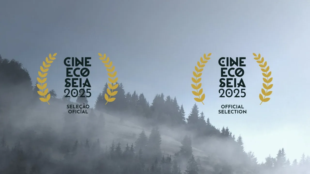 CineEco in Seia will have 81 films in competition and a new category for 'shorts'