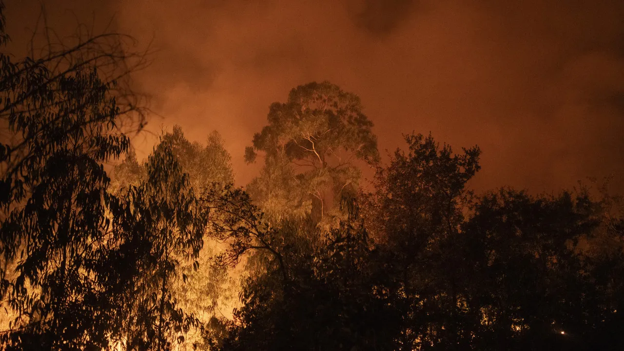 Cinfães nature reserve affected by flames. "There were no victims."