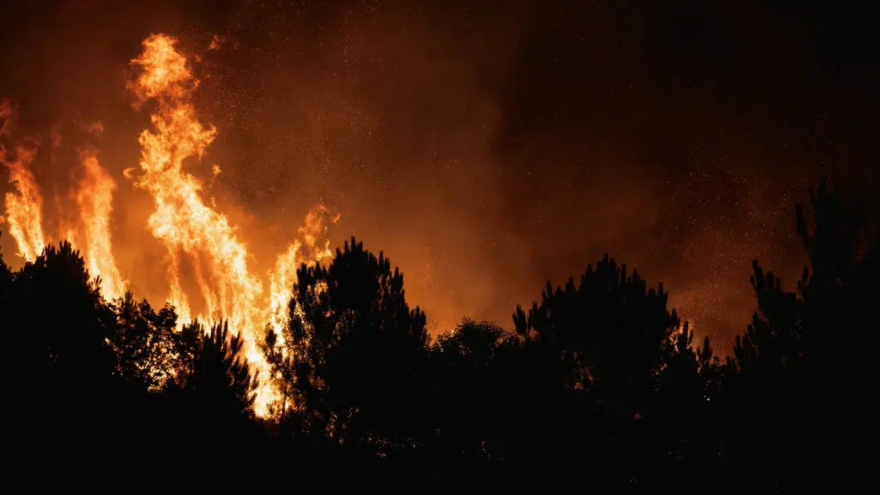 City Council warns that the fire in Covilhã is "very uncontrolled"