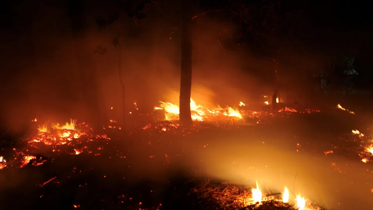 Civil Protection: "23 (of the 77) incidents started during the night period"