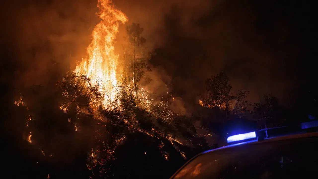 Civil Protection confirms one civilian fatality in the fire in Guarda.