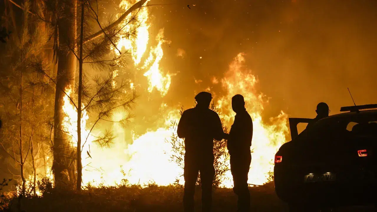 Civil Protection plans to declare the fires in Vila Real and Celorico as under control today.