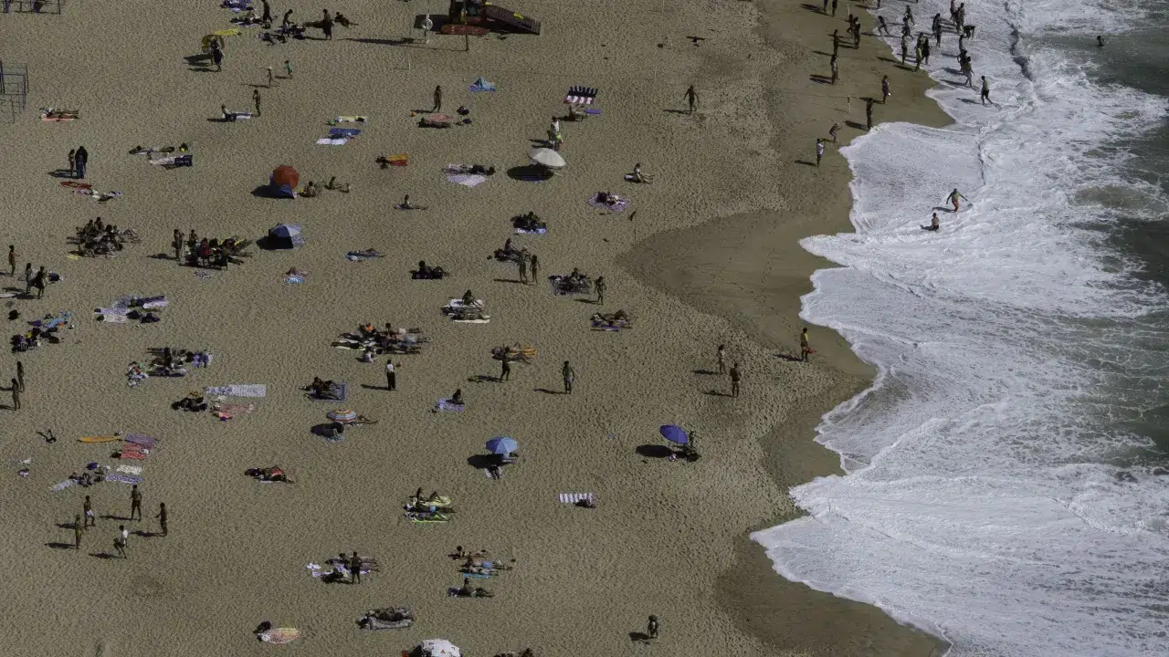 "Clean and transparent water." Nazaré Beach reopened for swimming.