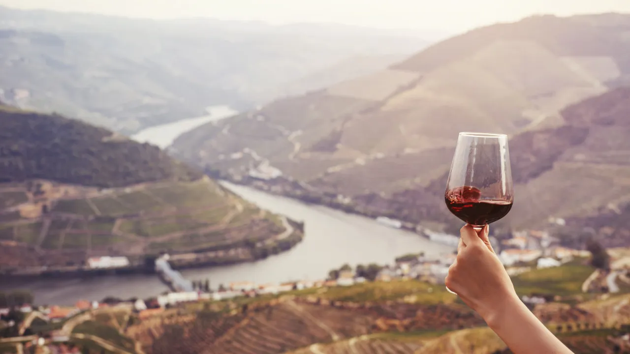 "Deeply disappointed," ViniPortugal asks for the reversal of the 15% tax.