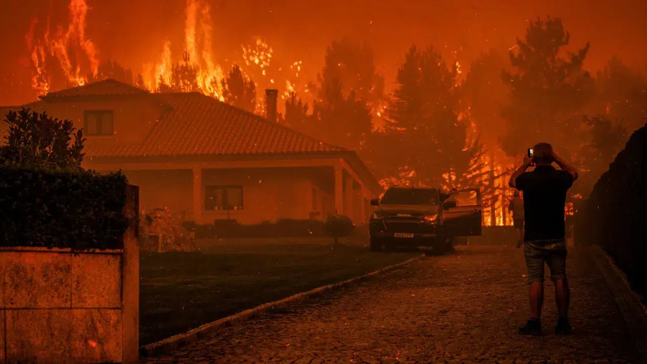 "Despite 4 days of efforts, it was not possible to contain the fires"