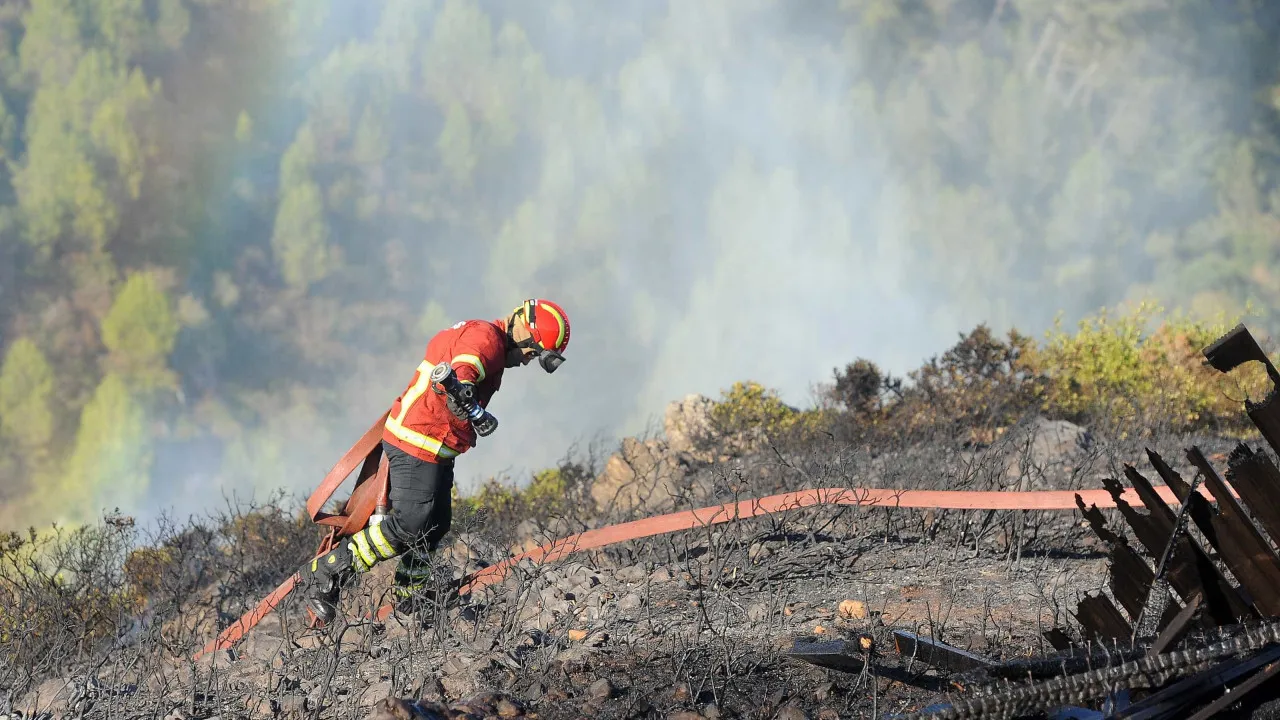 "Difficult." Fire in Celorico de Basto mobilizes over 250 operatives