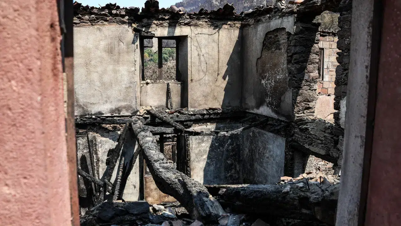 Diploma with support for those affected by the fires comes into effect today