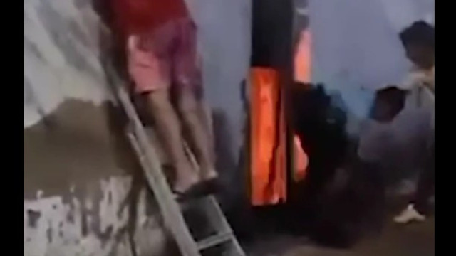 Dog that GNR officer rescued from house on fire died hours later