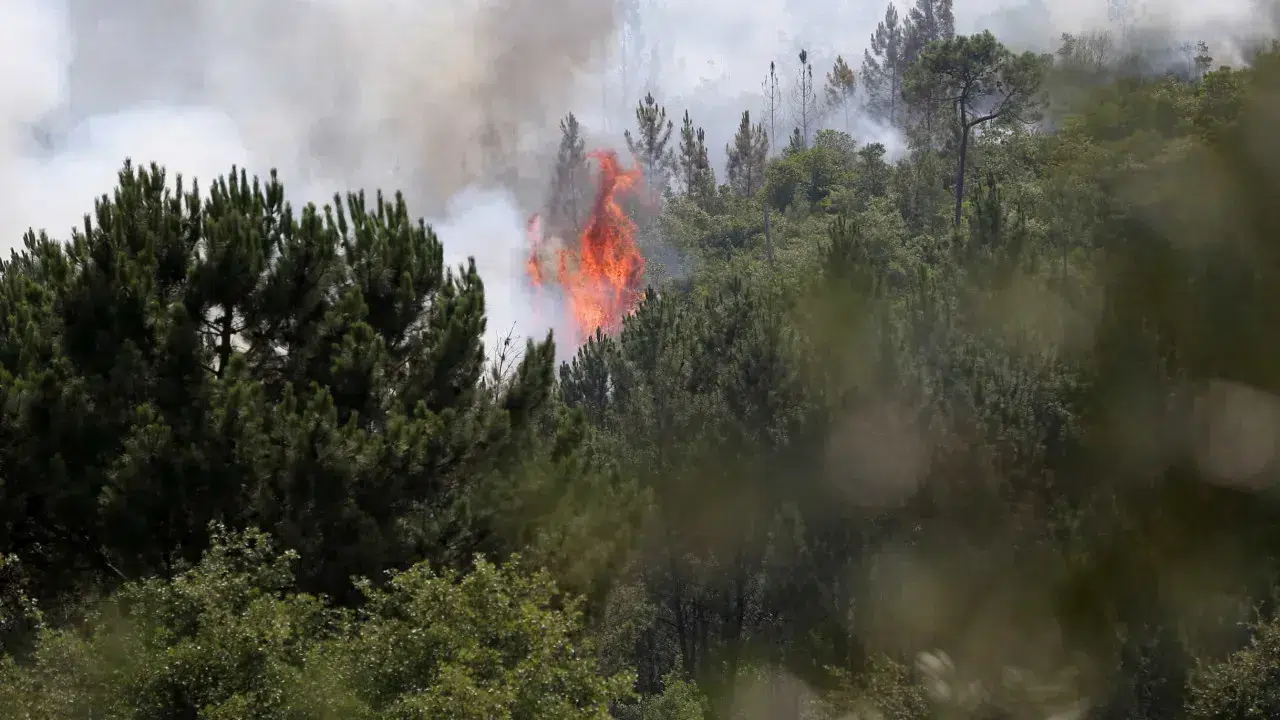 Electoral programs began to pay more attention to fires after 2017.