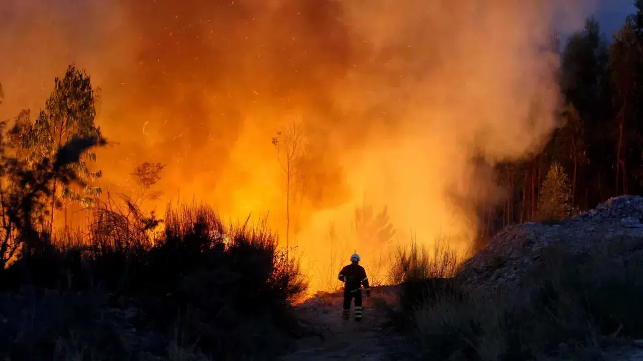 Environmentalists advocate adapted fire-fighting in protected areas