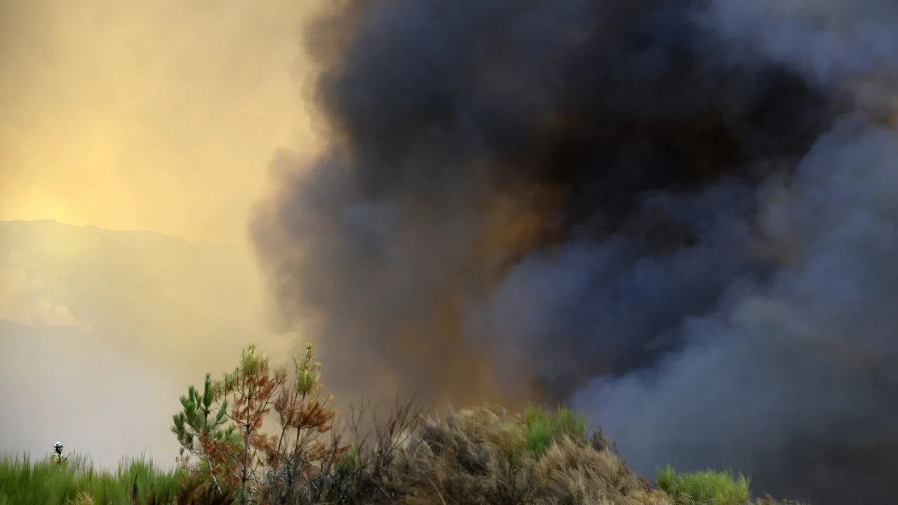 "Everything burned" in the mountains and the population criticizes the fire fighting efforts in Peneda-Gerês