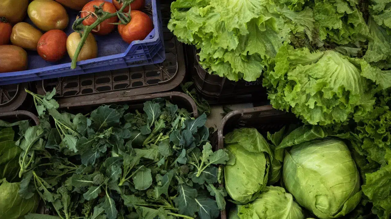 Exports of fruits, vegetables, and flowers rise 9.2%: Where do they go?