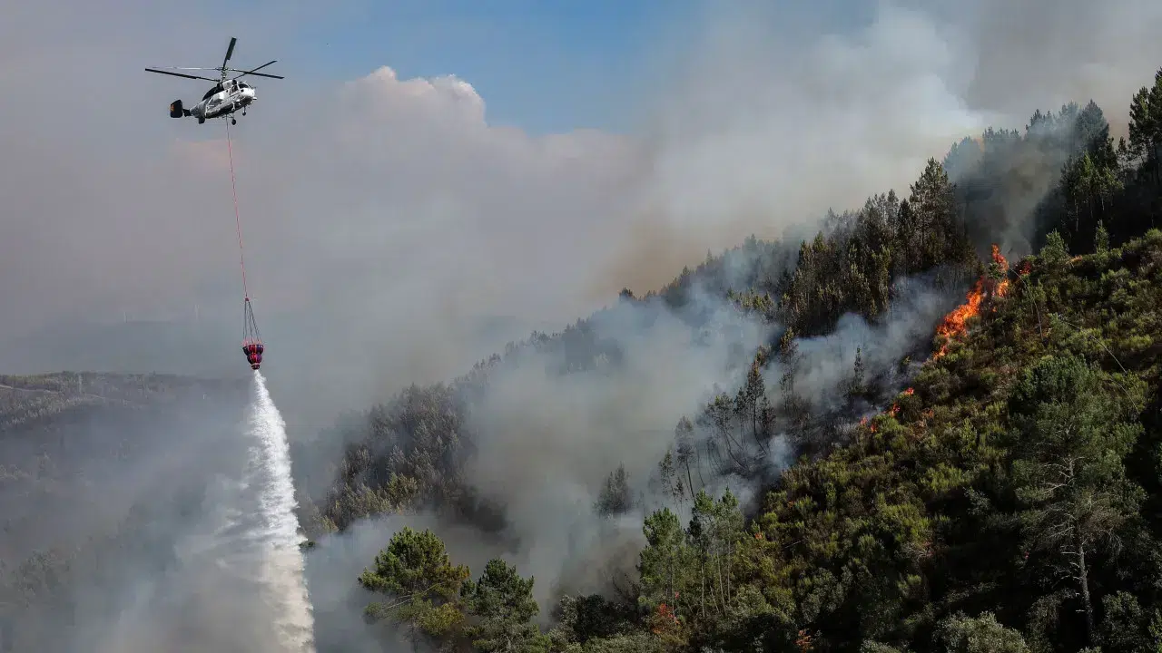 Extraordinary debate on fires with Montenegro approved