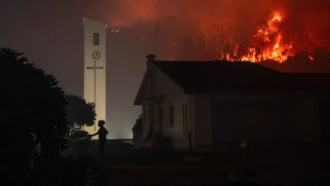 Farmers from Mirandela affected by the fire ask the Government for help.