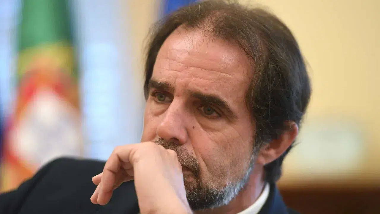 "Fighting party". PSD/Madeira wants to win municipal elections in all 11 municipalities