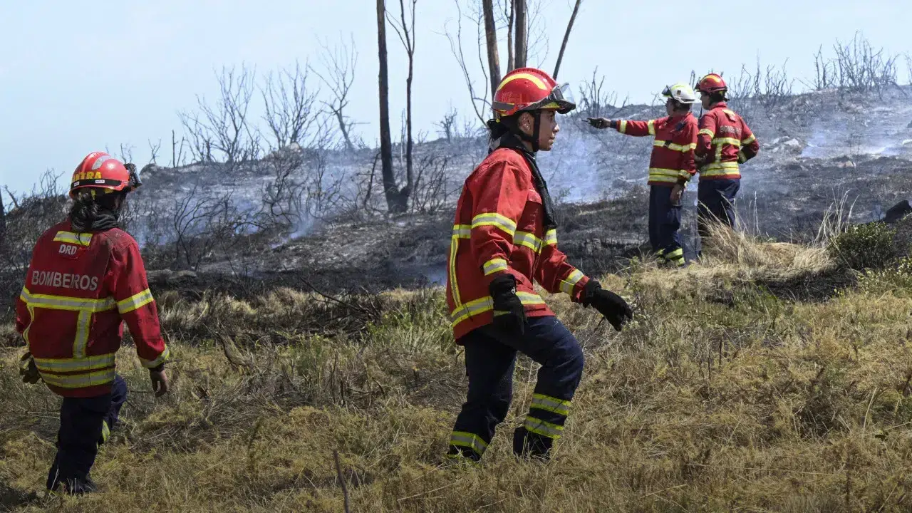 Fire. About 90 municipalities in the interior North and Center at maximum risk.