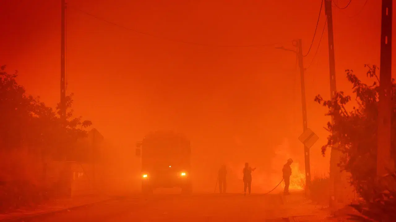 Fire advances uphill in Oliveira do Hospital towards the city.