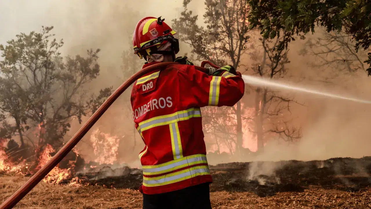 Fire again under control in the municipality of Nisa
