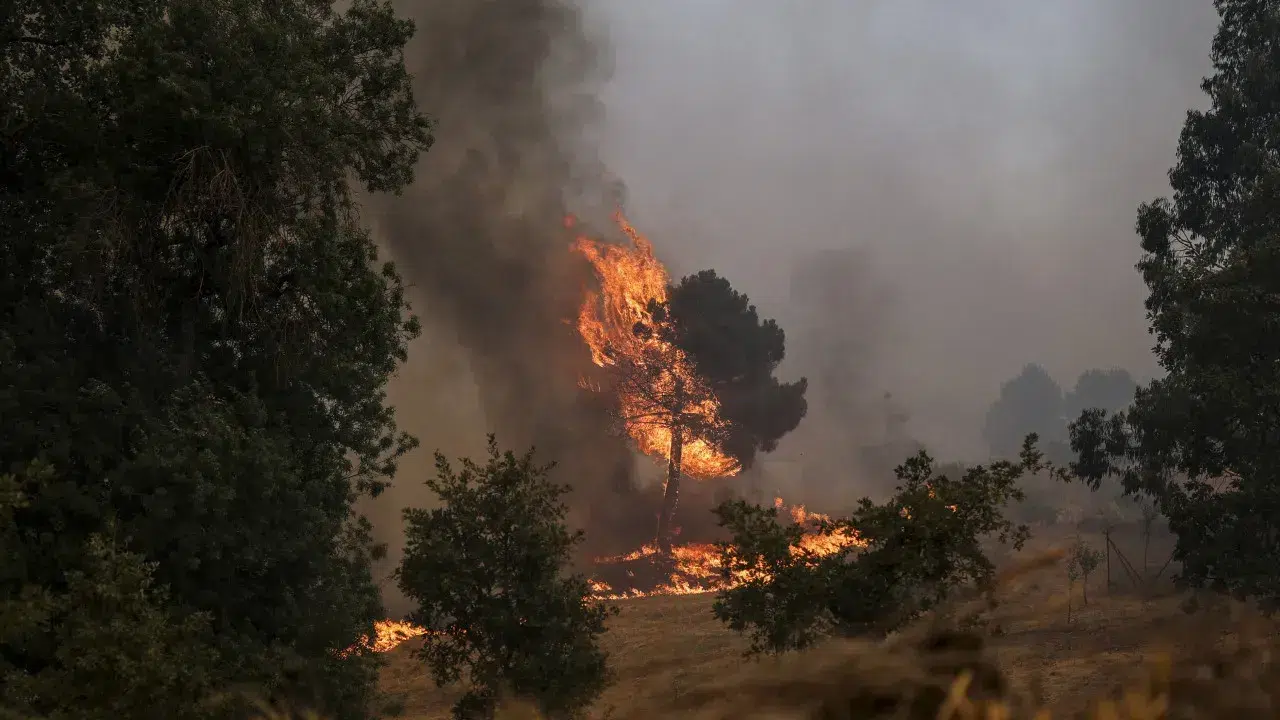 Fire burning in Portalegre and Castelo de Vide has three active fronts