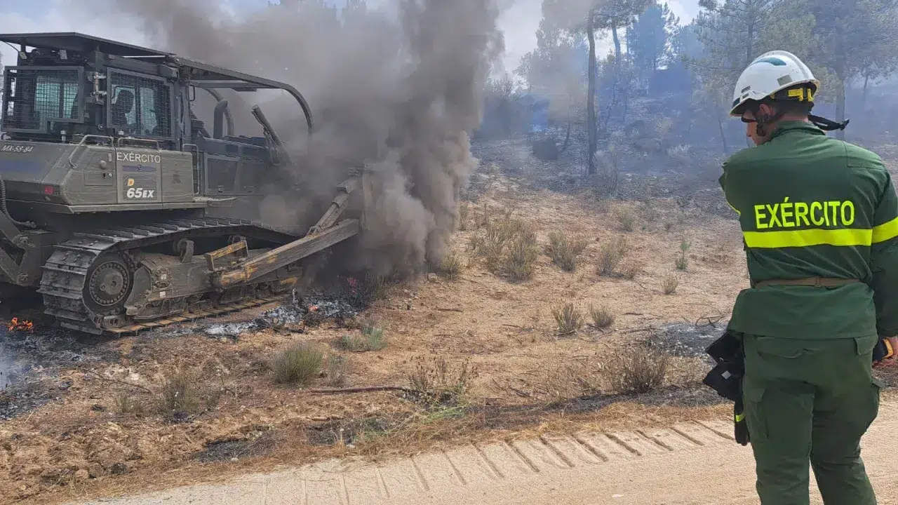 Fire causes losses of 3.8 million in Freixo de Espada à Cinta